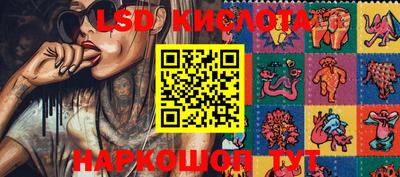 PSILOCYBIN Нальчик