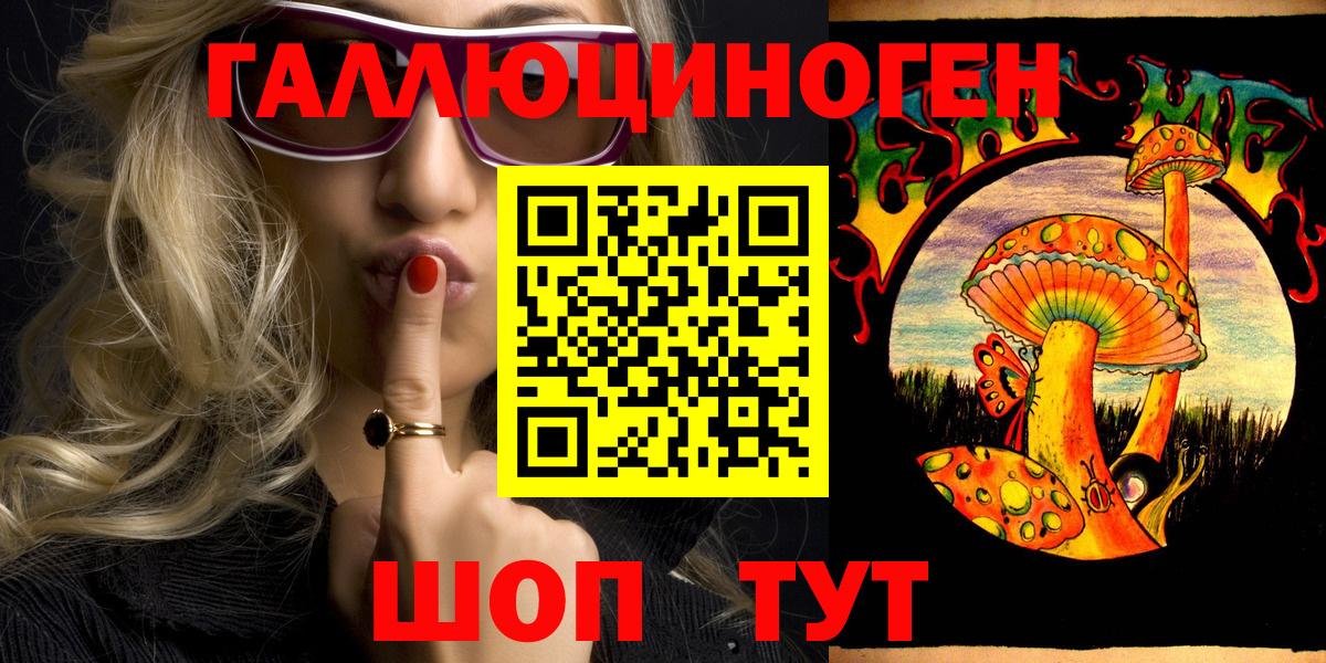 Псилоцибиновые грибы Psilocybine cubensis Владикавказ